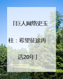 巨人网络史玉柱：希望征途再活20年