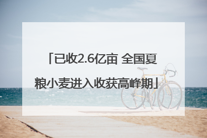 已收2.6亿亩 全国夏粮小麦进入收获高峰期