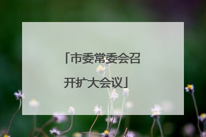 市委常委会召开扩大会议