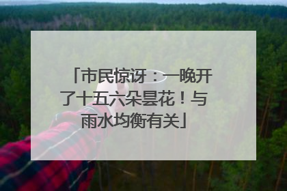 市民惊讶：一晚开了十五六朵昙花！与雨水均衡有关