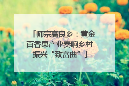 师宗高良乡：黄金百香果产业奏响乡村振兴“致富曲”