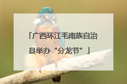 广西环江毛南族自治县举办“分龙节”