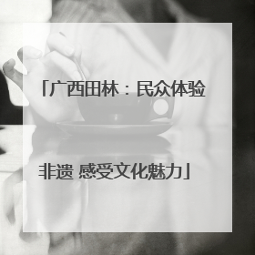 广西田林：民众体验非遗 感受文化魅力