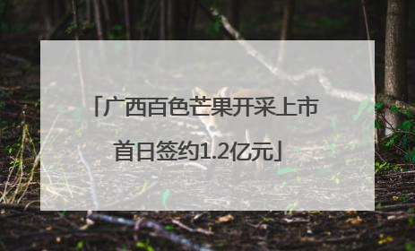 广西百色芒果开采上市 首日签约1.2亿元