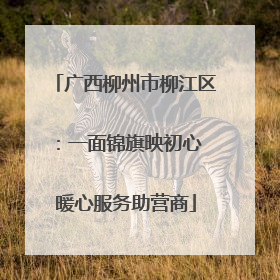 广西柳州市柳江区：一面锦旗映初心 暖心服务助营商