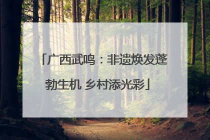 广西武鸣：非遗焕发蓬勃生机 乡村添光彩