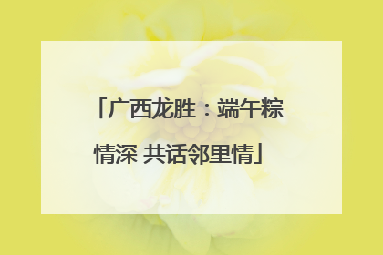 广西龙胜：端午粽情深 共话邻里情