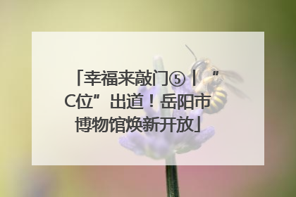 幸福来敲门⑤丨“C位”出道！岳阳市博物馆焕新开放