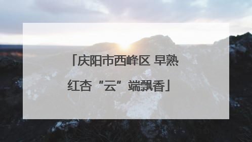 庆阳市西峰区 早熟红杏“云”端飘香
