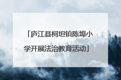 庐江县柯坦镇陈埠小学开展法治教育活动