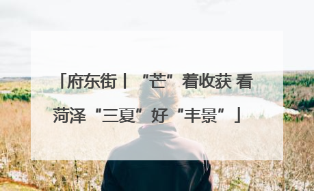 府东街丨“芒”着收获 看菏泽“三夏”好“丰景”