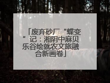 废弃砂厂“蝶变”记：湘阴中麻贝乐谷绘就农文旅融合新画卷
