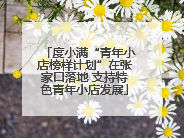 度小满“青年小店榜样计划”在张家口落地 支持特色青年小店发展