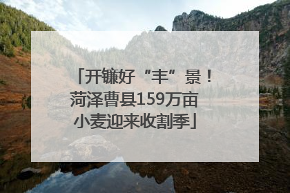 开镰好“丰”景！菏泽曹县159万亩小麦迎来收割季
