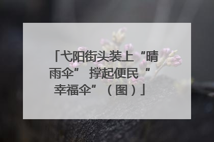 弋阳街头装上“晴雨伞” 撑起便民“幸福伞”（图）