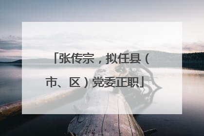 张传宗，拟任县（市、区）党委正职