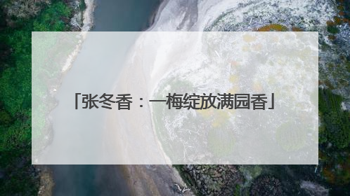 张冬香：一梅绽放满园香