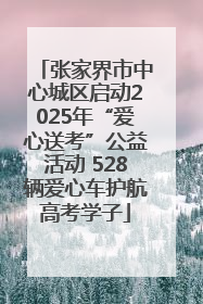 张家界市中心城区启动2025年“爱心送考”公益活动 528辆爱心车护航高考学子