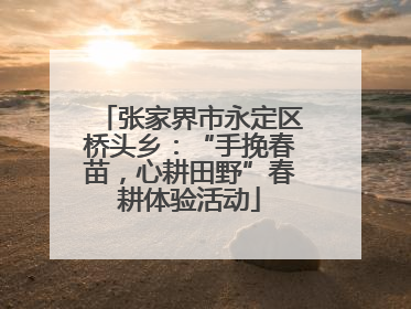 张家界市永定区桥头乡：“手挽春苗，心耕田野”春耕体验活动