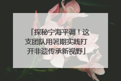 探秘宁海平调！这支团队用暑期实践打开非遗传承新视野
