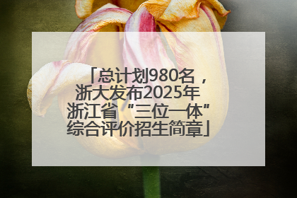 总计划980名，浙大发布2025年浙江省“三位一体”综合评价招生简章