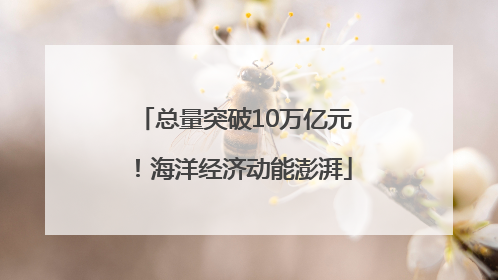 总量突破10万亿元！海洋经济动能澎湃
