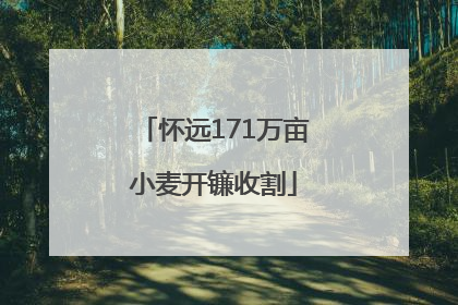 怀远171万亩小麦开镰收割
