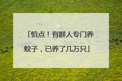 慎点！有群人专门养蚊子，已养了几万只