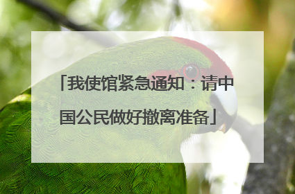 我使馆紧急通知：请中国公民做好撤离准备