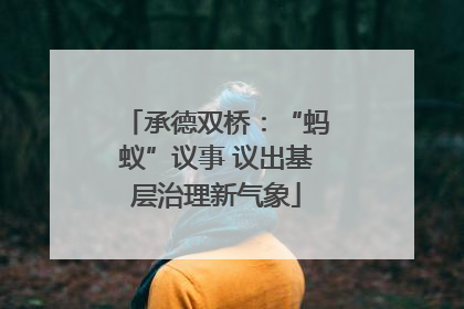 承德双桥：“蚂蚁”议事 议出基层治理新气象