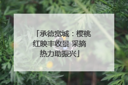 承德宽城：樱桃红映丰收景 采摘热力助振兴