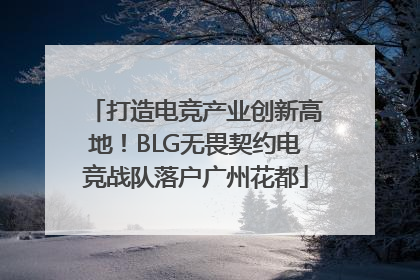 打造电竞产业创新高地！BLG无畏契约电竞战队落户广州花都