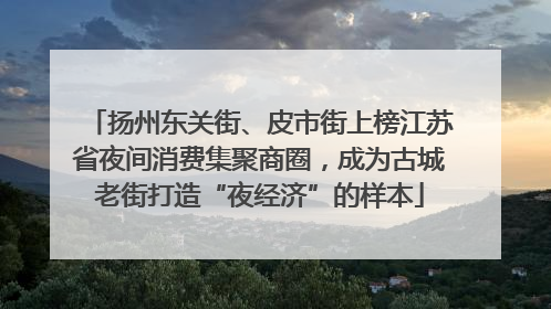 扬州东关街、皮市街上榜江苏省夜间消费集聚商圈，成为古城老街打造“夜经济”的样本