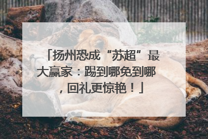 扬州恐成“苏超”最大赢家：踢到哪免到哪，回礼更惊艳！