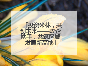 投资米林，共创未来——政企携手，共筑区域发展新高地