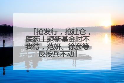 抢发行，抢建仓，医药主题新基金时不我待，范妍、徐彦等反按兵不动