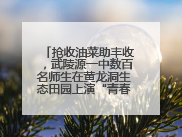 抢收油菜助丰收，武陵源一中数百名师生在黄龙洞生态田园上演“青春助农记”