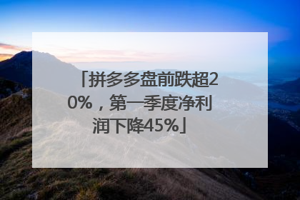 拼多多盘前跌超20%，第一季度净利润下降45%