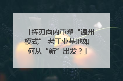 挥刃向内重塑“温州模式” 老工业基地如何从“新”出发？