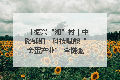 振兴“湘”村｜中路铺镇：科技赋能“金蛋产业” 全链驱动乡村振兴