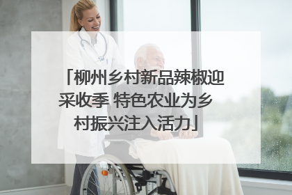 柳州乡村新品辣椒迎采收季 特色农业为乡村振兴注入活力
