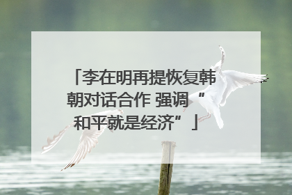 李在明再提恢复韩朝对话合作 强调“和平就是经济”
