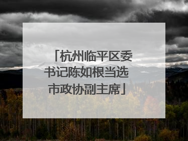 杭州临平区委书记陈如根当选市政协副主席