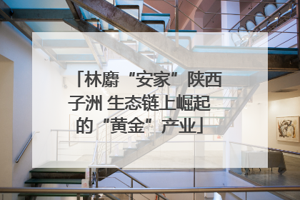 林麝“安家”陕西子洲 生态链上崛起的“黄金”产业