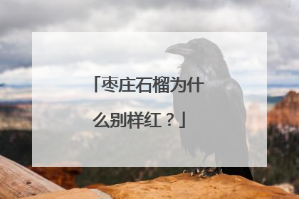 枣庄石榴为什么别样红？