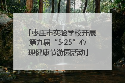枣庄市实验学校开展第九届“5·25”心理健康节游园活动