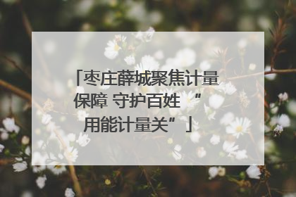 枣庄薛城聚焦计量保障 守护百姓 “用能计量关”