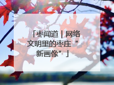 枣闻道｜网络文明里的枣庄“新画像”