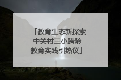 教育生态新探索 中关村三小跨龄教育实践引热议