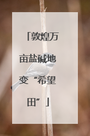 敦煌万亩盐碱地变“希望田”